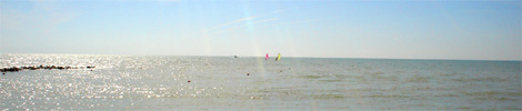 bibione